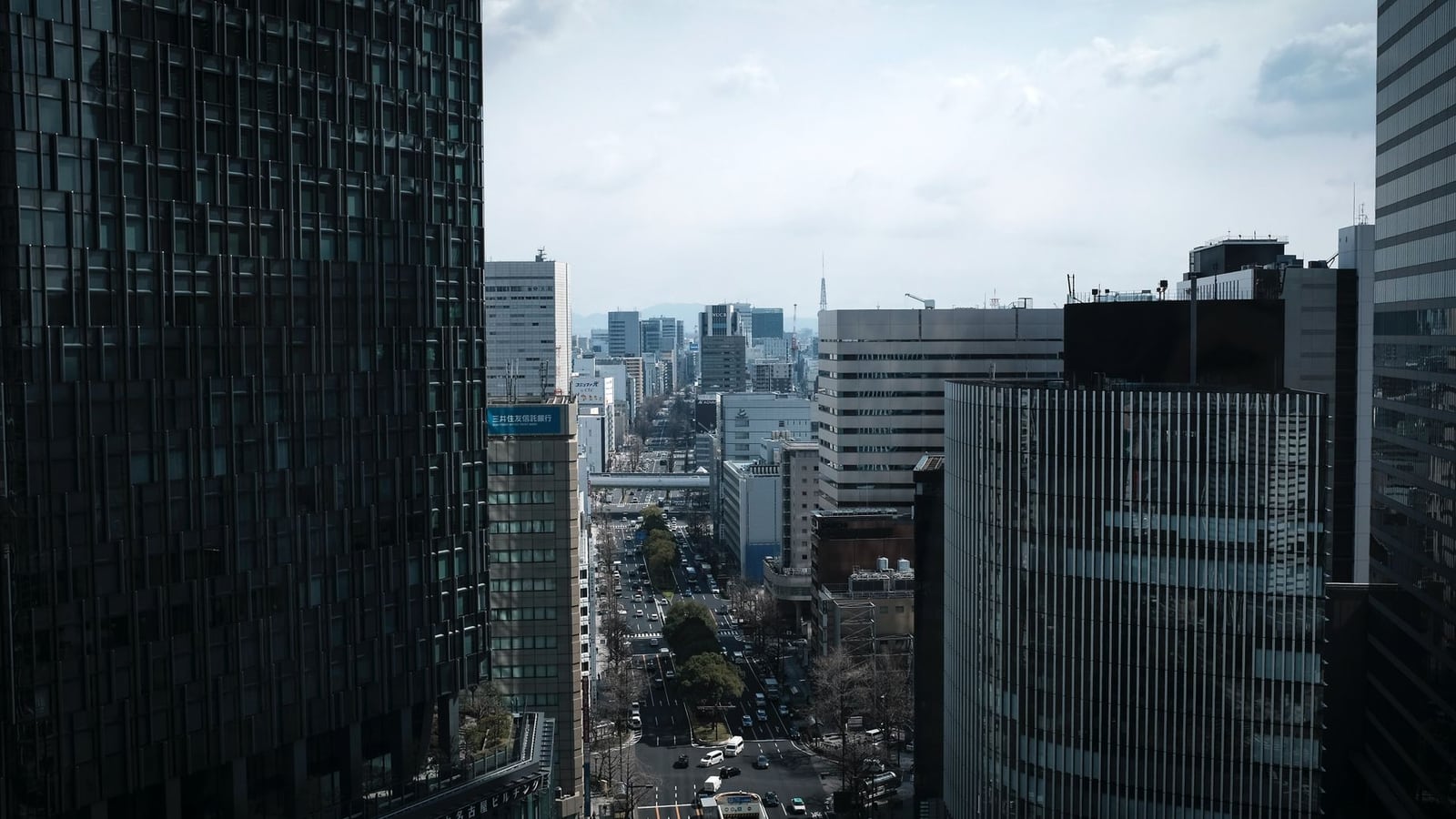 名古屋市の桜通りの風景。午後の柔らかな光に包まれた都市建築。